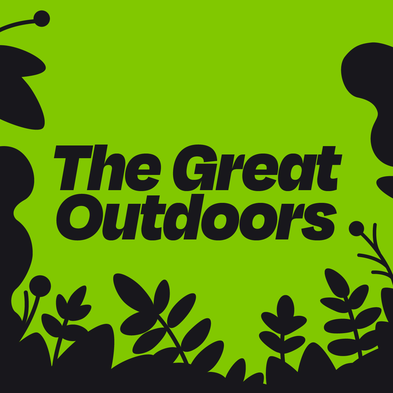 The Great Outdoors